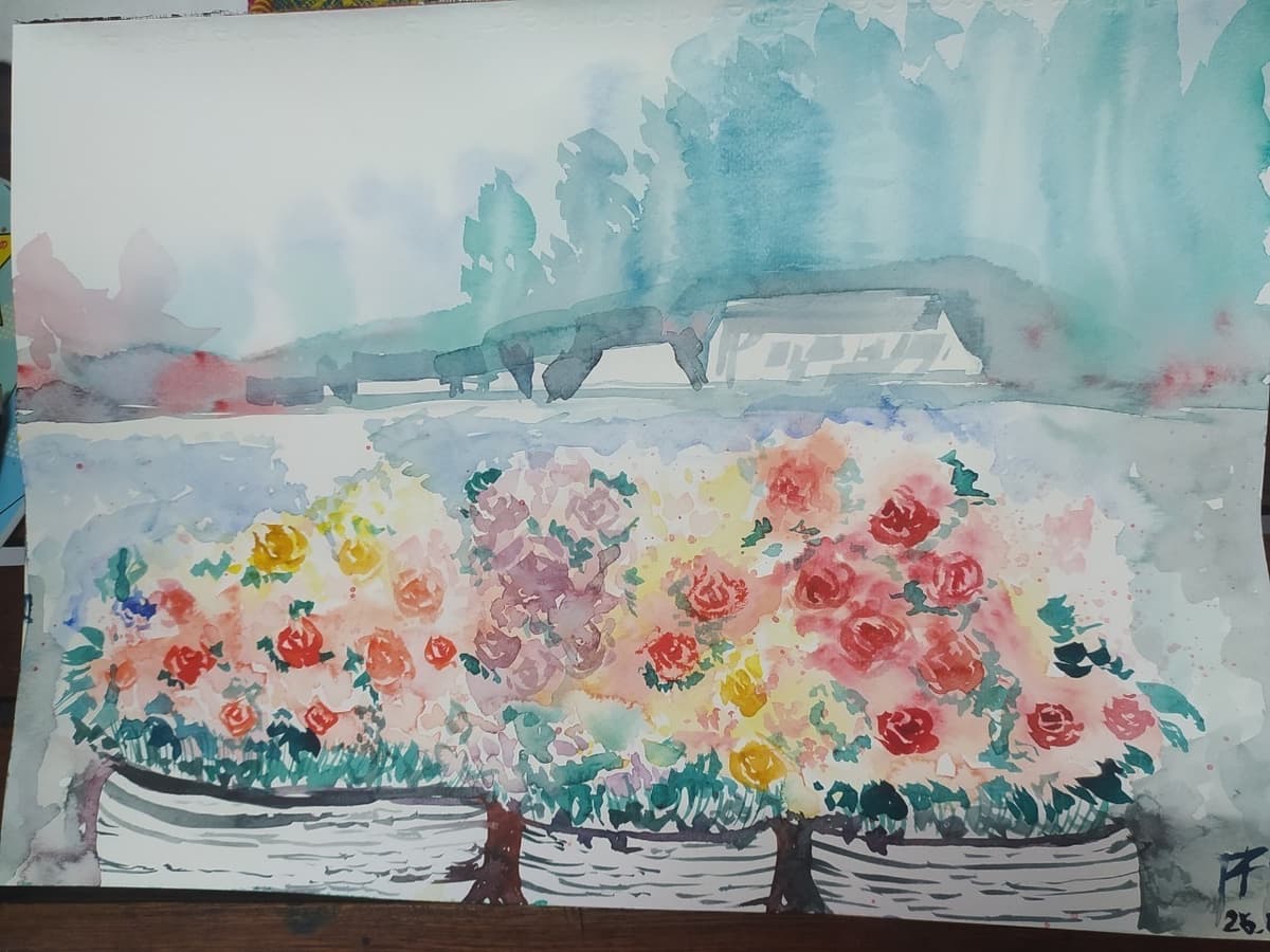 Portfolio 8