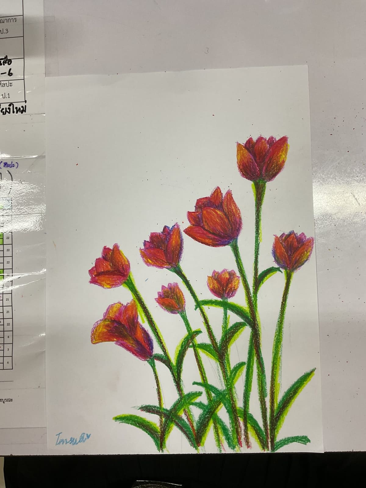Portfolio 6