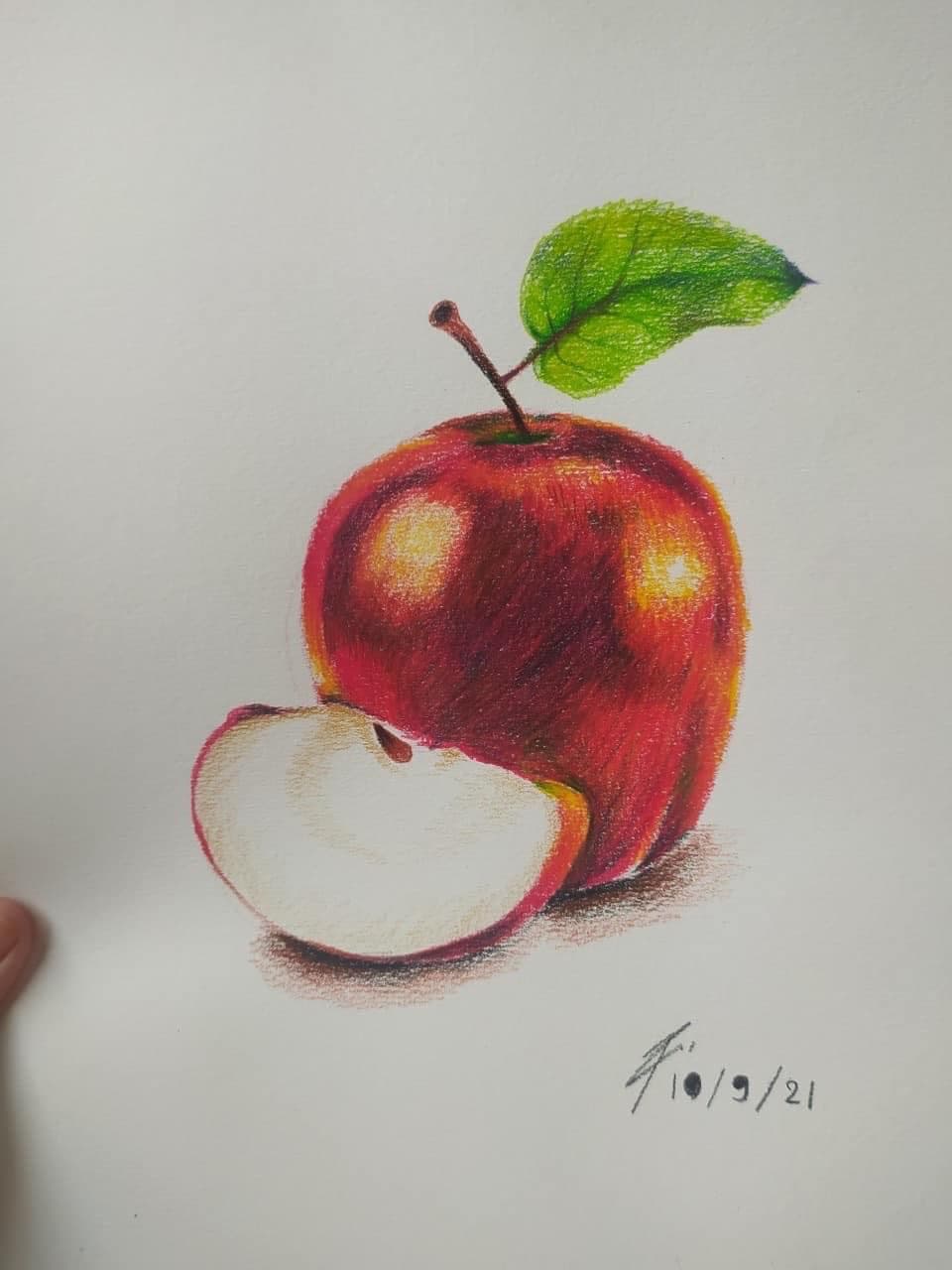 Portfolio 9