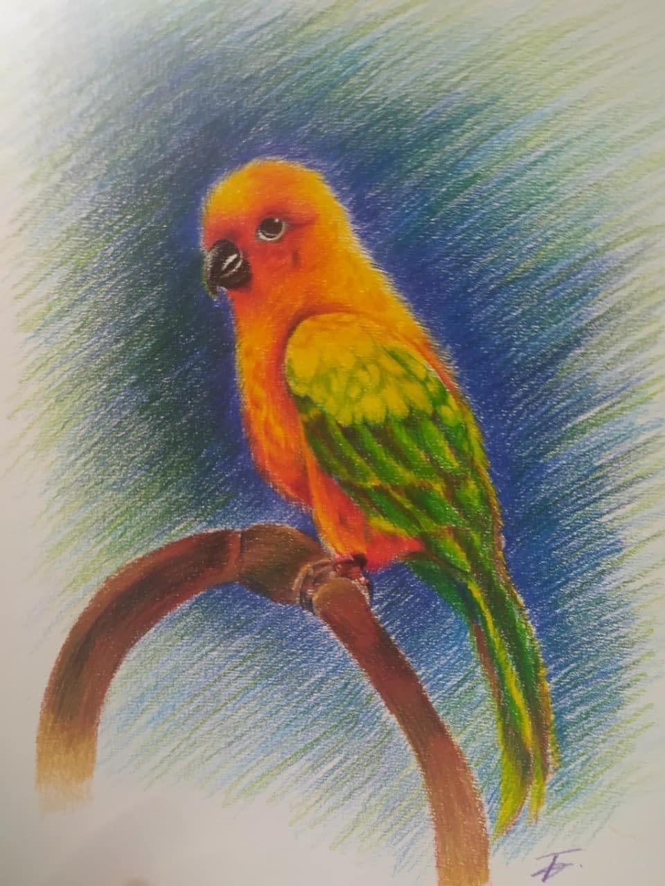 Portfolio 10