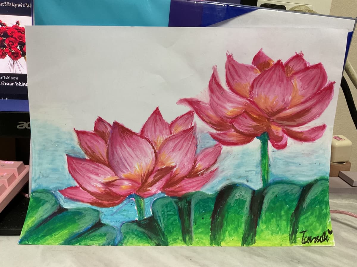 Portfolio 11