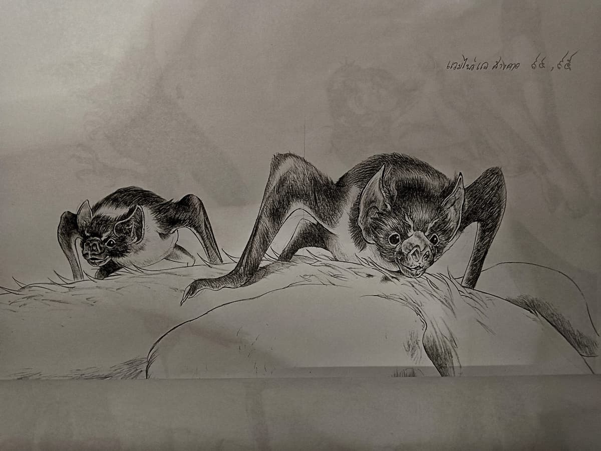 Portfolio 8