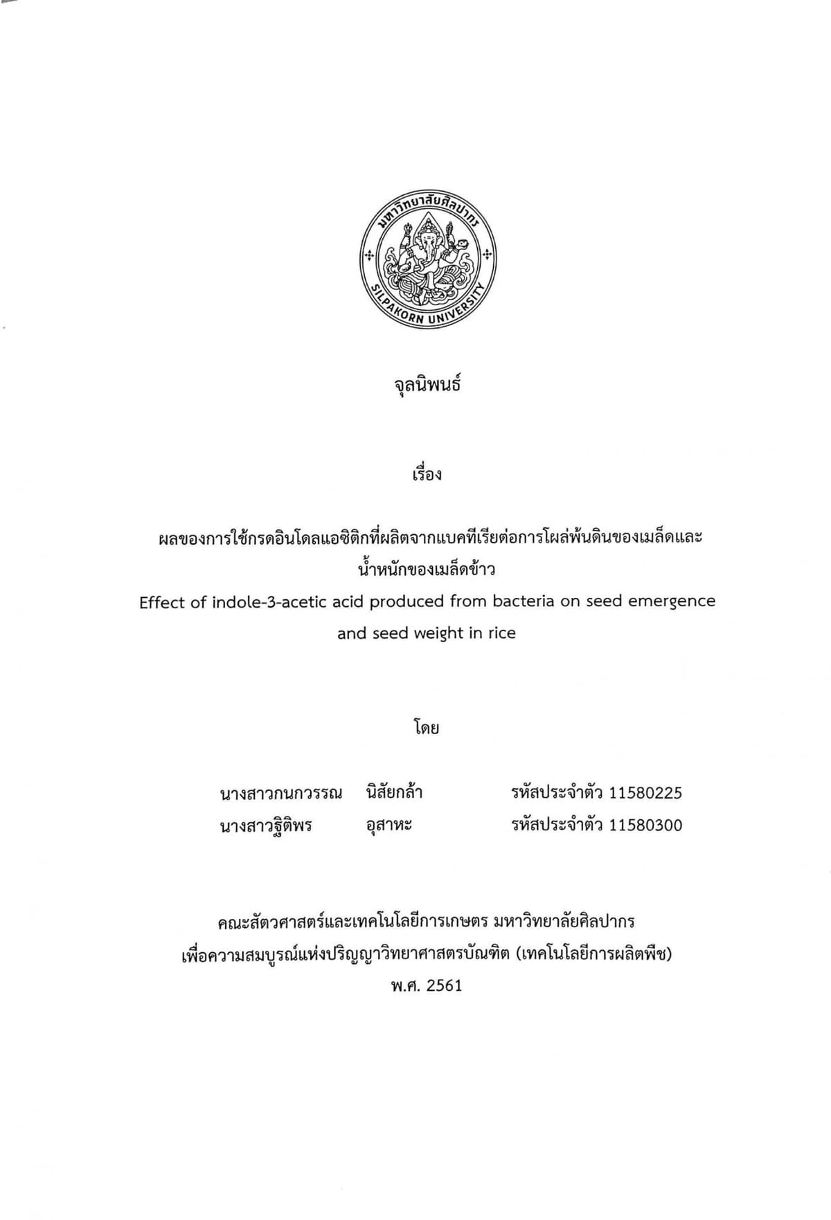 Portfolio 3