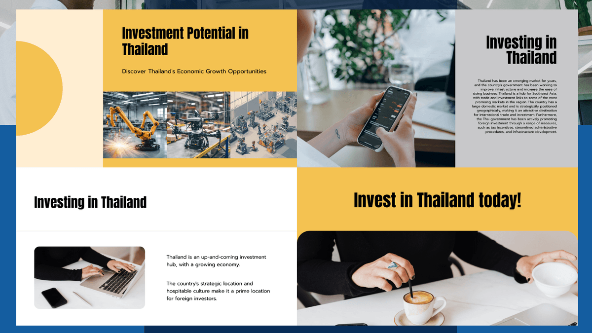 Portfolio 3