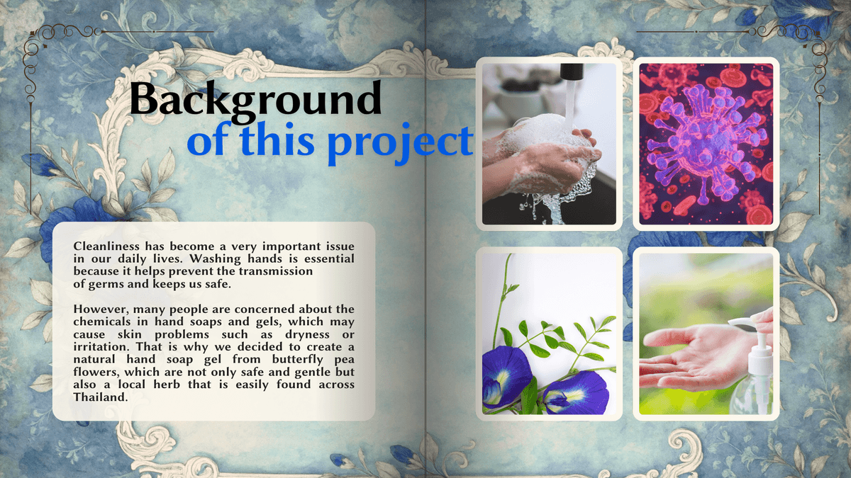 Portfolio 2