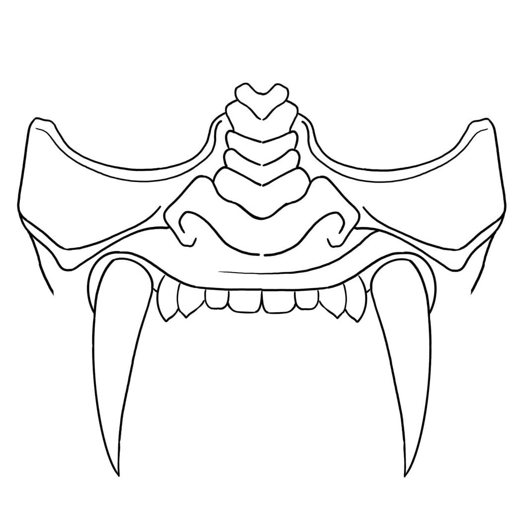 Portfolio 4