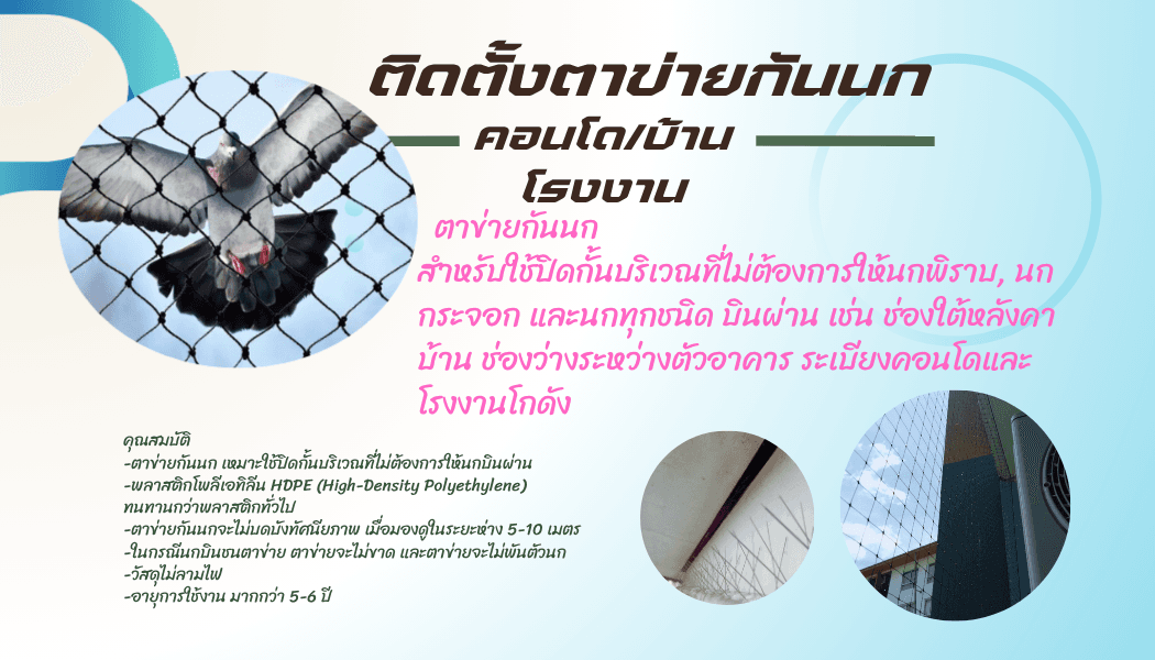 ตาข่ายกันนก
