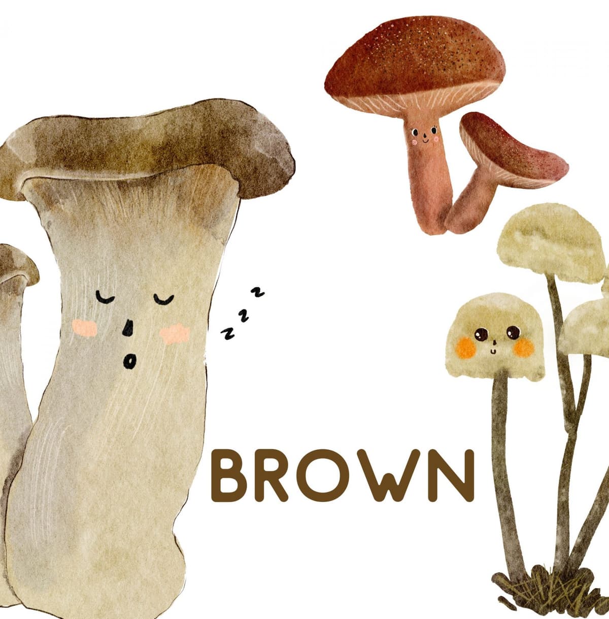 รับวาดภาพประกอบสื่อ การสอน นิทาน สไตล์สีน้ำสไตล์ whimsy