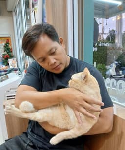 Manosh Tamrongchot